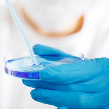 規(guī)范、品控管理